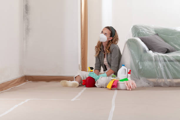 Reliable Mold Remediation contractor in Kearny, AZ by WQB Mold Removal